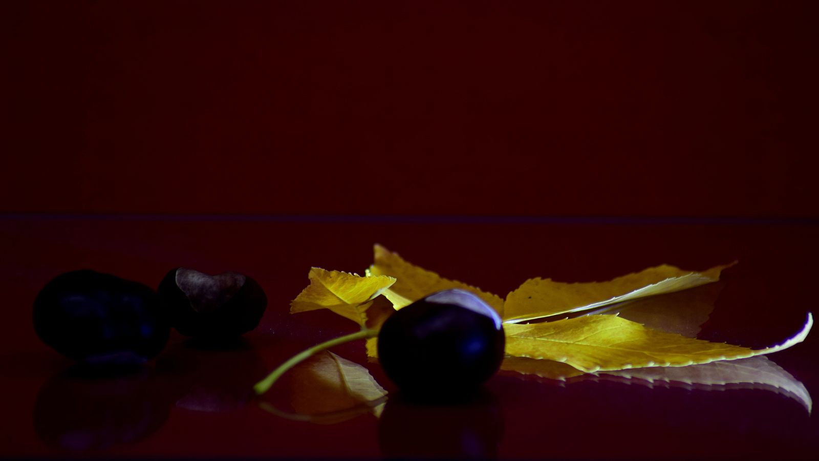 Őszi hangulatok / Autumn Moods